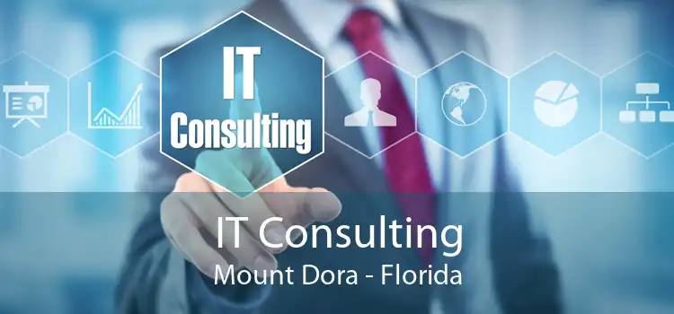IT Consulting Mount Dora - Florida