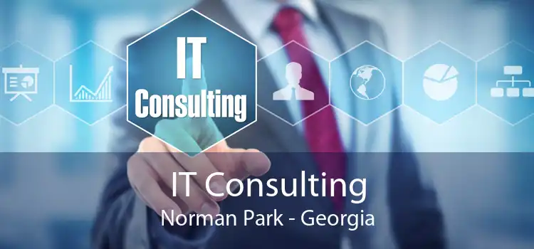 IT Consulting Norman Park - Georgia