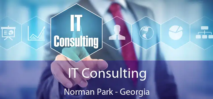 IT Consulting Norman Park - Georgia