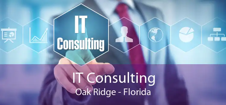 IT Consulting Oak Ridge - Florida