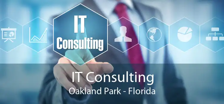 IT Consulting Oakland Park - Florida