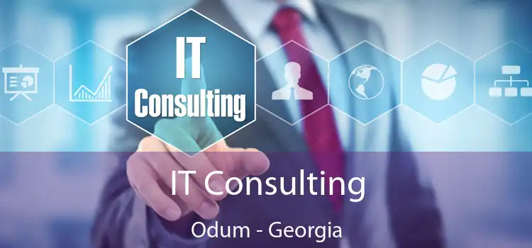 IT Consulting Odum - Georgia