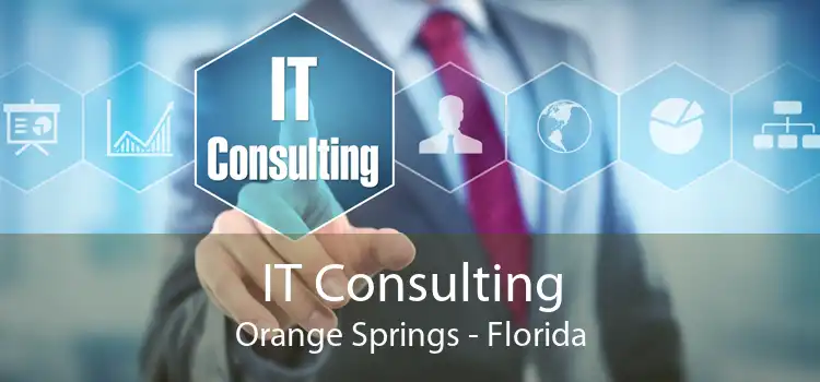 IT Consulting Orange Springs - Florida