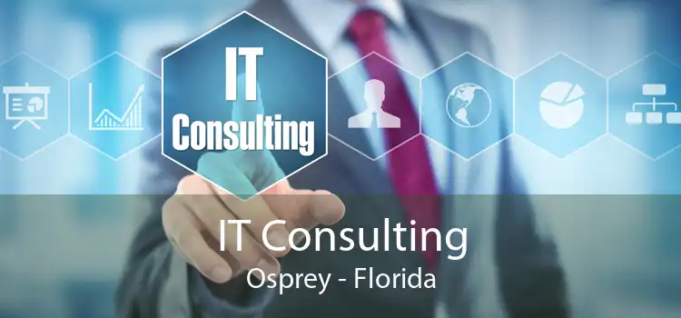 IT Consulting Osprey - Florida