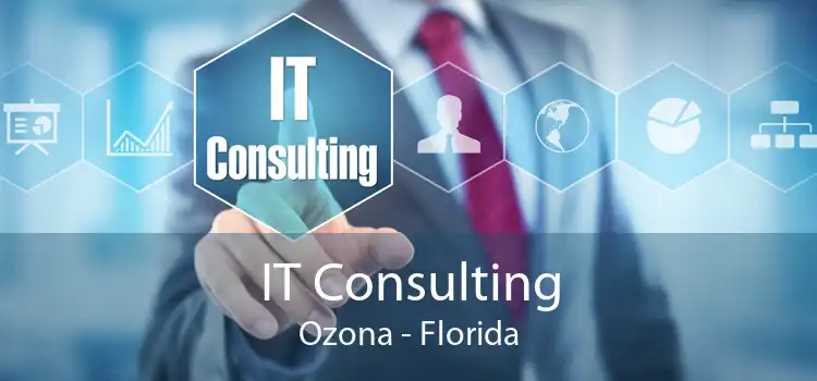 IT Consulting Ozona - Florida