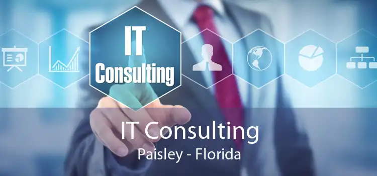IT Consulting Paisley - Florida