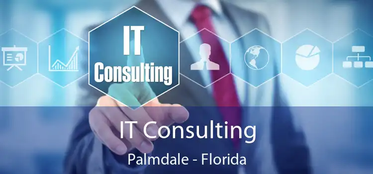 IT Consulting Palmdale - Florida