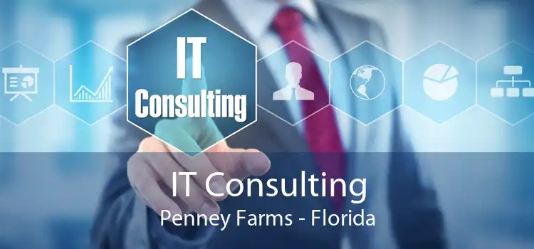 IT Consulting Penney Farms - Florida