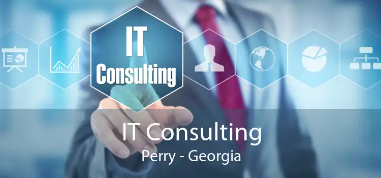 IT Consulting Perry - Georgia