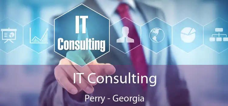 IT Consulting Perry - Georgia