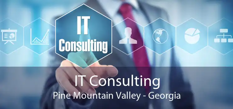 IT Consulting Pine Mountain Valley - Georgia