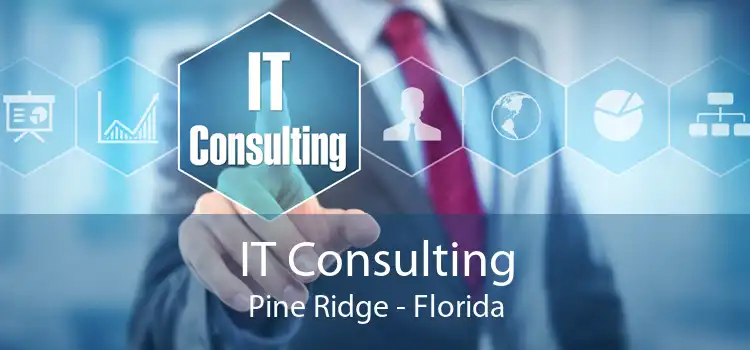 IT Consulting Pine Ridge - Florida