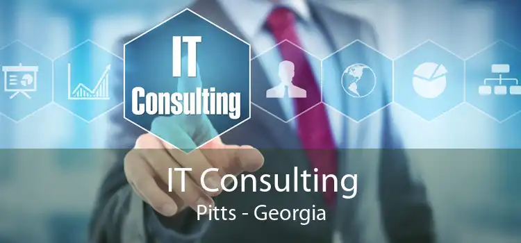 IT Consulting Pitts - Georgia