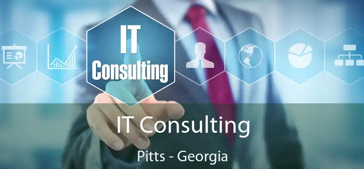 IT Consulting Pitts - Georgia