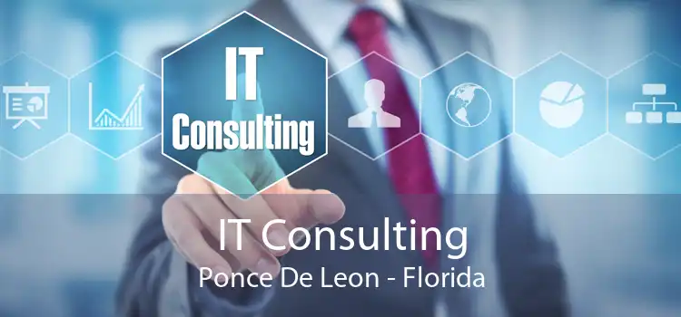 IT Consulting Ponce De Leon - Florida