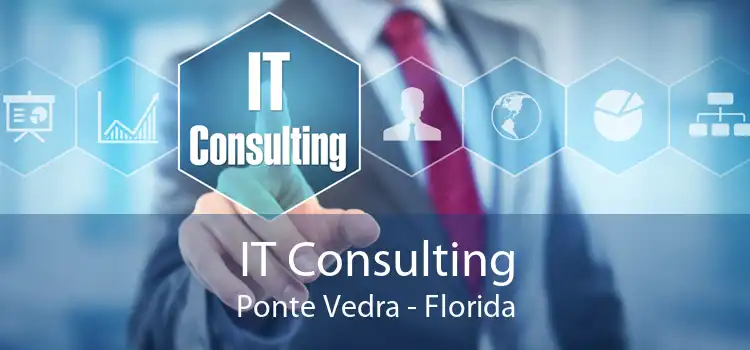 IT Consulting Ponte Vedra - Florida