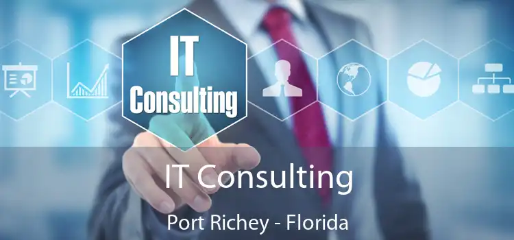 IT Consulting Port Richey - Florida