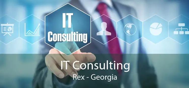 IT Consulting Rex - Georgia