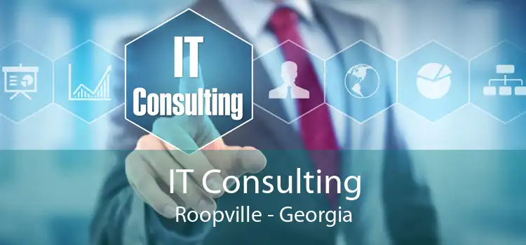 IT Consulting Roopville - Georgia