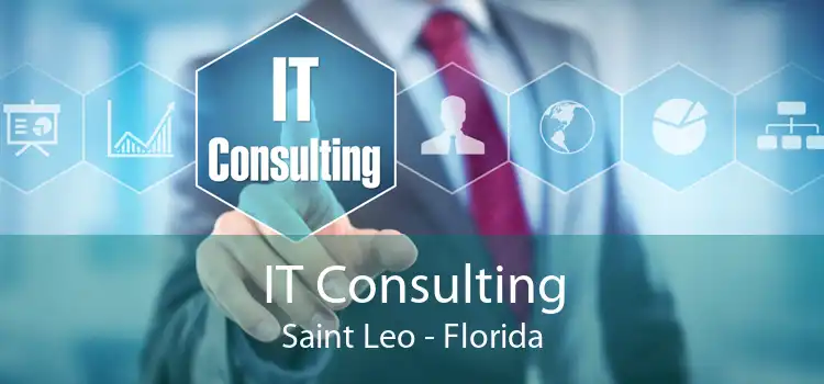 IT Consulting Saint Leo - Florida