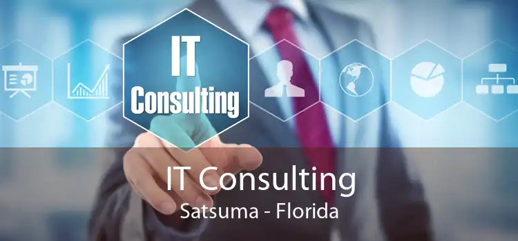 IT Consulting Satsuma - Florida