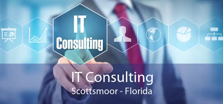 IT Consulting Scottsmoor - Florida