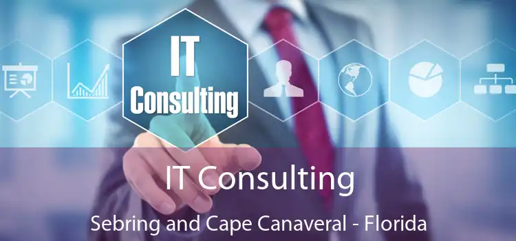 IT Consulting Sebring and Cape Canaveral - Florida