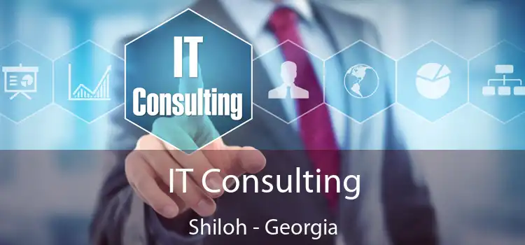 IT Consulting Shiloh - Georgia