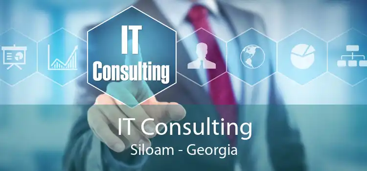 IT Consulting Siloam - Georgia