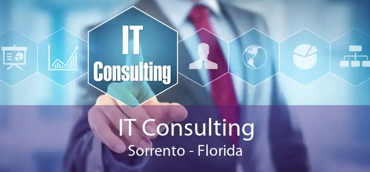 IT Consulting Sorrento - Florida