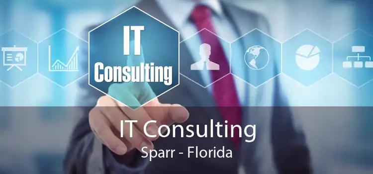 IT Consulting Sparr - Florida