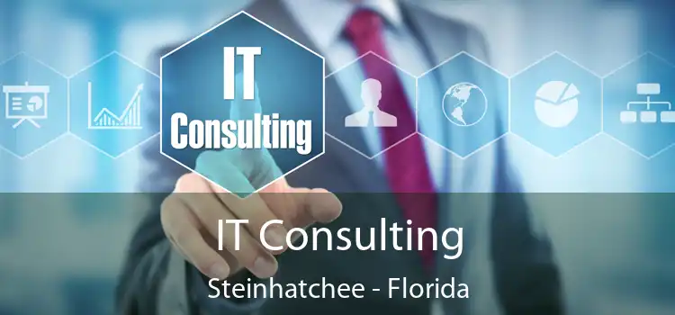 IT Consulting Steinhatchee - Florida