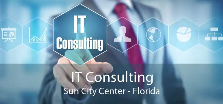 IT Consulting Sun City Center - Florida