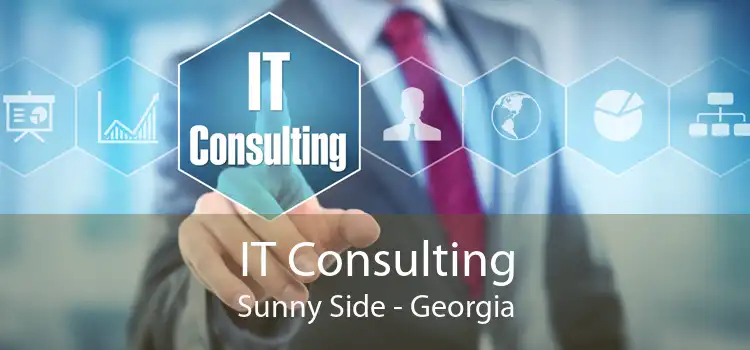 IT Consulting Sunny Side - Georgia