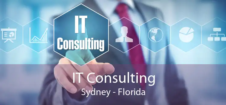 IT Consulting Sydney - Florida