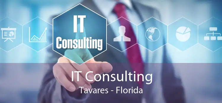 IT Consulting Tavares - Florida