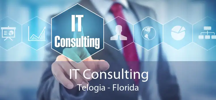 IT Consulting Telogia - Florida
