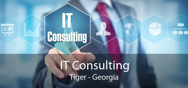 IT Consulting Tiger - Georgia