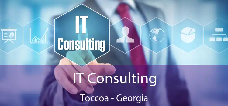 IT Consulting Toccoa - Georgia