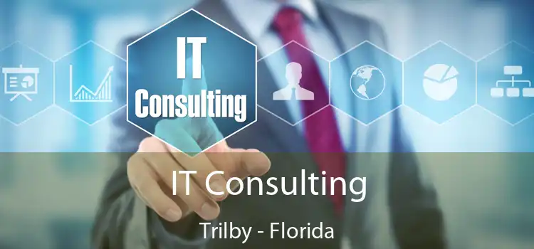 IT Consulting Trilby - Florida