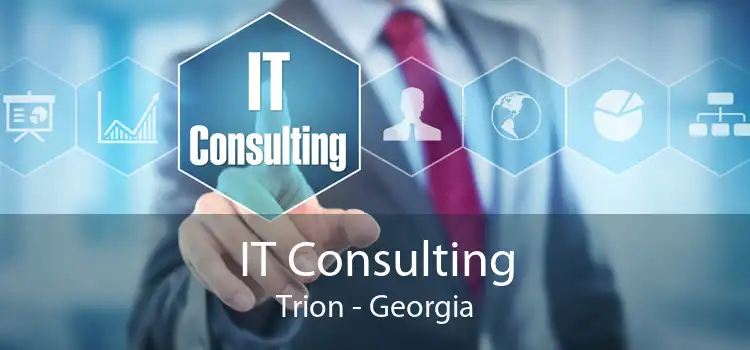 IT Consulting Trion - Georgia