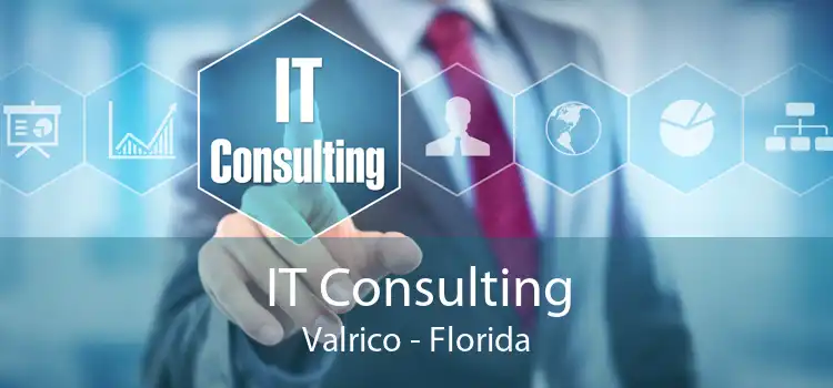 IT Consulting Valrico - Florida