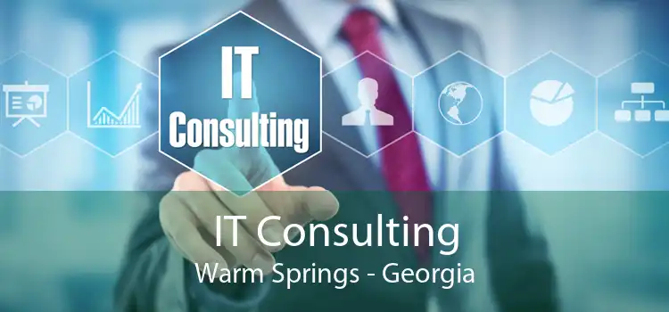 IT Consulting Warm Springs - Georgia