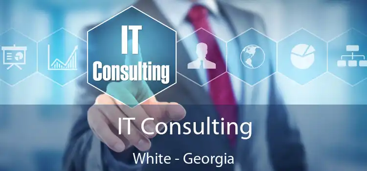 IT Consulting White - Georgia