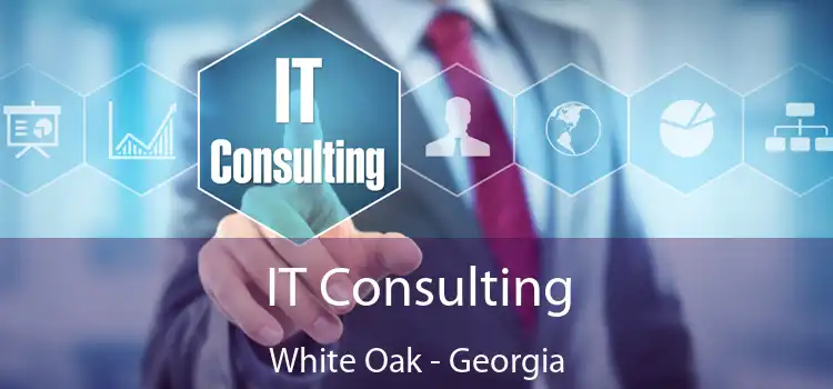 IT Consulting White Oak - Georgia