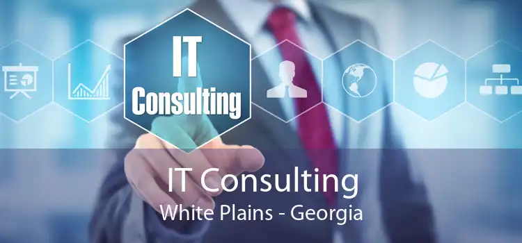 IT Consulting White Plains - Georgia