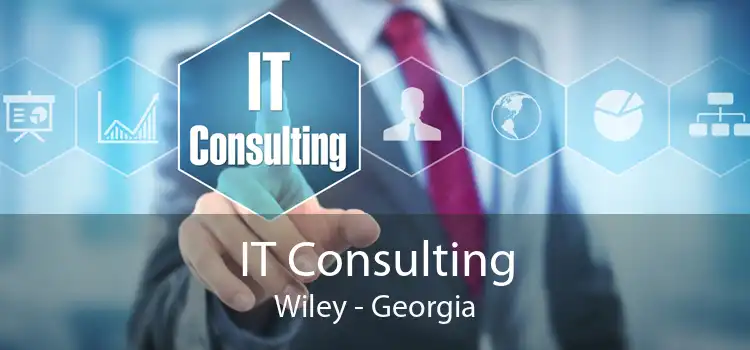 IT Consulting Wiley - Georgia