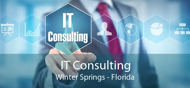 IT Consulting Winter Springs - Florida