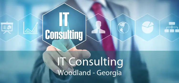 IT Consulting Woodland - Georgia