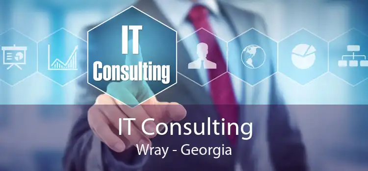 IT Consulting Wray - Georgia